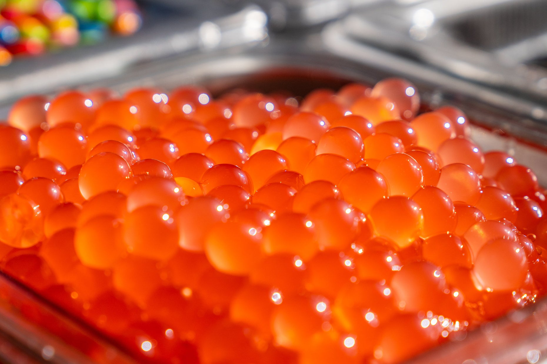 Best Bubble Tea Toppings for Shops in Australia – Bubble Tea Supply ...