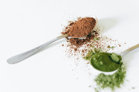 Close-up of cocoa and green tea powder on spoons against a white background.