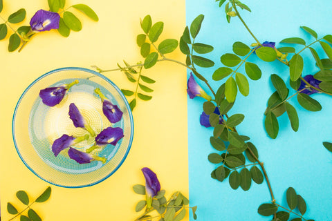 A vibrant composition of butterfly pea flowers in a bowl with green leaves on a split yellow and blue background.