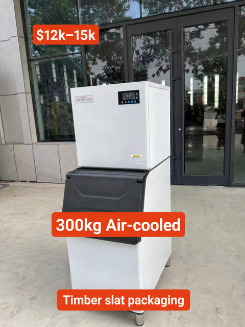 Split-Type Ice Maker (300kg/day)